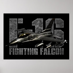 F-16 Strijd tegen valk Poster