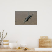 F-16 Strijd tegen valkbetonVliegtuig Poster (Keuken)