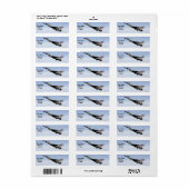 F-16 Thunderbird in flight Etiket (Full Sheet)