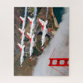 F-16C-BESTRIJDINGSMIDDEL (16x20 INCH) Legpuzzel (Verticaal)