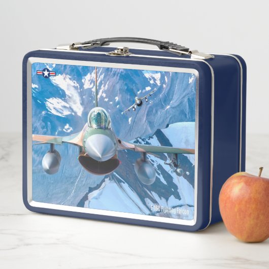 F-16C FALCON (In situ)