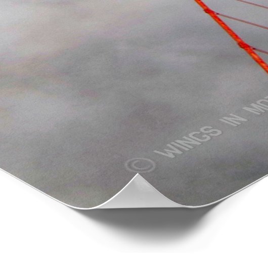 F-16C FALCON POSTER (Hoek)