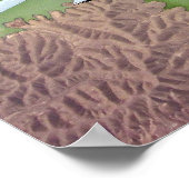 F-18 over Afghanistan. Poster (Hoek)