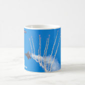 F-22 RAPTOR KOFFIEMOK (Center)