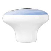 F-22 Raptor Militaire Jet Keramische Knop (Zijkant)