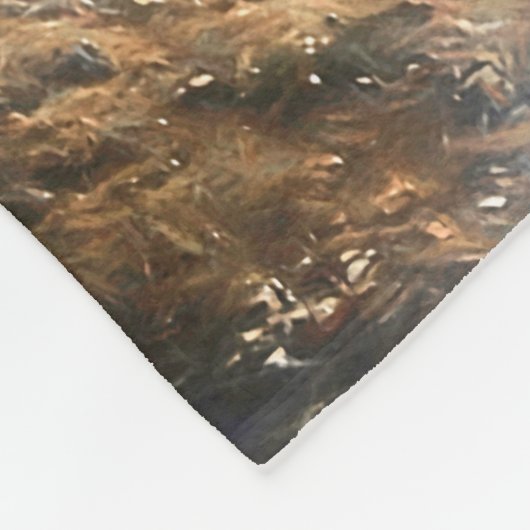 F-22 RAPTOREN OVER AMERIKA FLEECE DEKEN (Hoek)