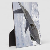F-22 roofvogel-Elmendorf AFB Fotoplaat (Zijkant)