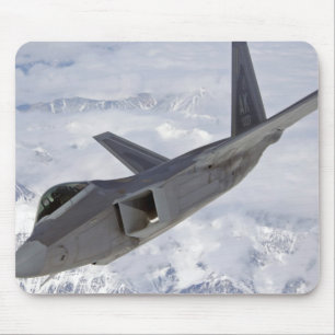 F-22 roofvogel-Elmendorf AFB Muismat