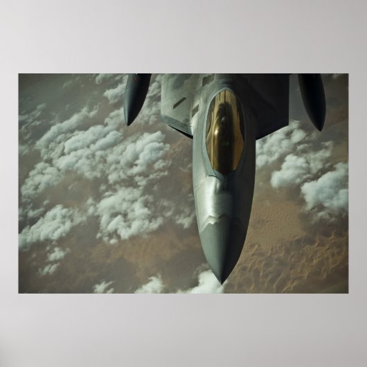 F-22 roofvogel poster (Voorkant)