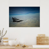 F-22 roofvogels poster (Keuken)