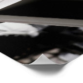 F-22 Vliegtuig Raptor Poster (Hoek)