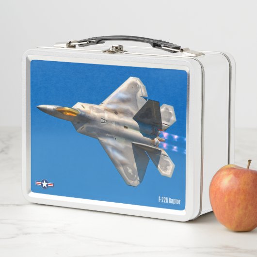 F-22A RAPTOR (In situ)