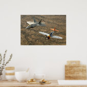 F-22A roofvogel en Blikseminslag p-47 Poster (Keuken)