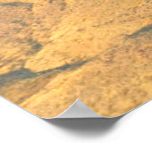 F-4 FANTOM- en F-22-RAPTOR-FORMATIEVLICHT Poster (Hoek)