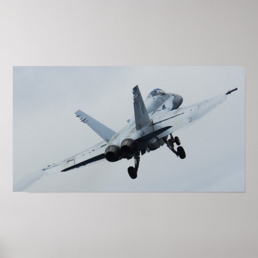 F/A-18 horzel Poster (Voorkant)