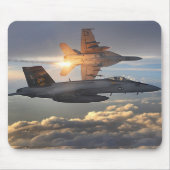 F/A-18 MUISMAT (Voorkant)