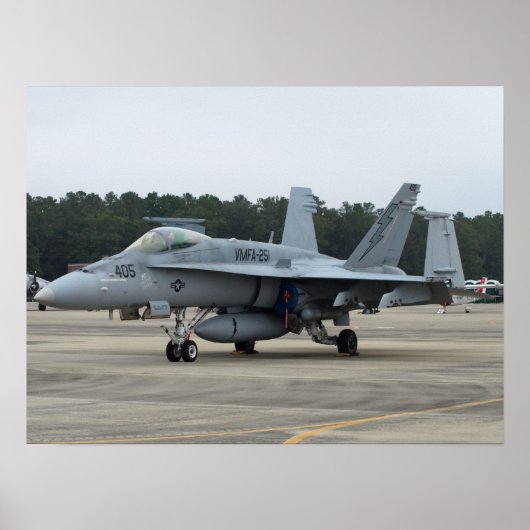 F/A-18C van VMFA-251 van MCAS Beaufort, SC Poster (Voorkant)