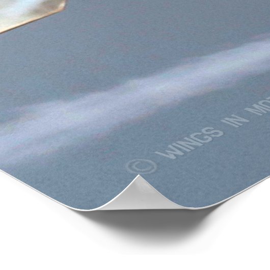 F/A-18E SUPER HORNET POSTER (Hoek)