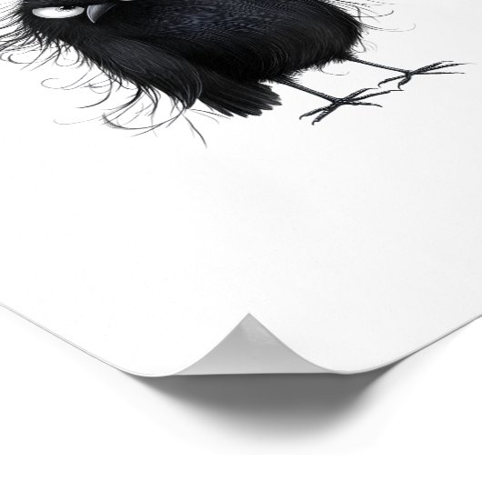 F-Caw-F Crow Funny Raven Bird Lovers Creative Styl Poster (Hoek)