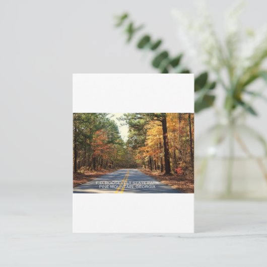 F.D. ROOSEVELT STATE PARK - PINE MOUNTAIN , GEORGI BRIEFKAART (Staand voorkant)