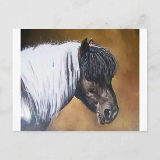 FAA-AfroPony Briefkaart (Voorkant)