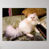 faabuuuuuloussss!!!!! poster (Voorkant)