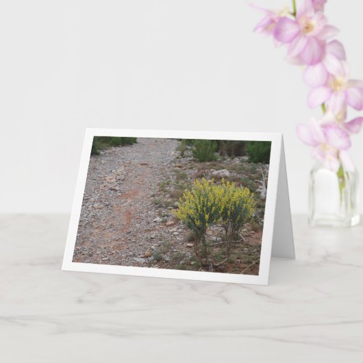 Fabale Plant, Anthyllis Cytisoides Kaart (Orchidee)