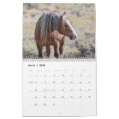 Fabio A Wild Wyoming Stallion Kalender (Mar 2026)
