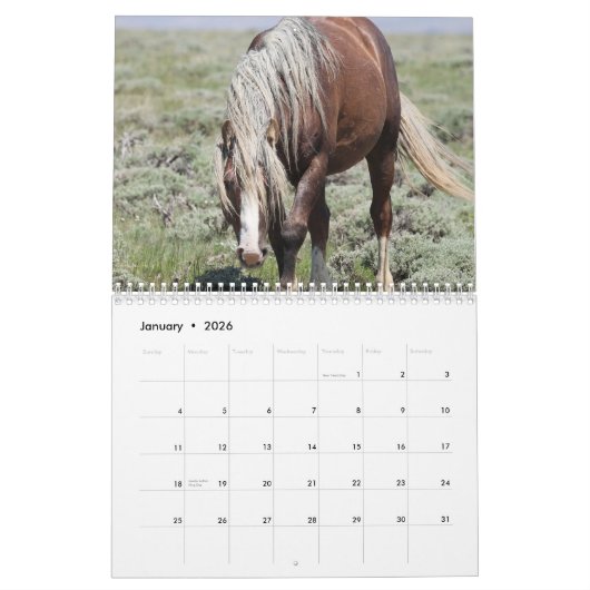 Fabio A Wild Wyoming Stallion Kalender (Jan 2026)