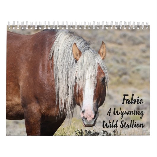 Fabio Een Wilde Wyoming Hengst Kalender (Hoes)