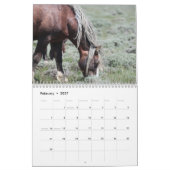 Fabio Een Wilde Wyoming Hengst Kalender (Feb 2027)