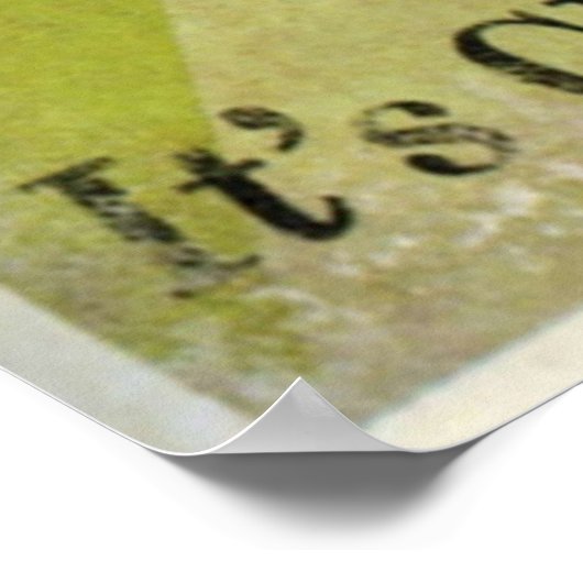 Fable 3 Propaganda Chicthee Poster (Hoek)