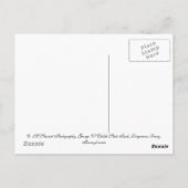 Fabrieksmatige Herfsten in Noordoost-Pennsylvania Briefkaart (Achterkant)