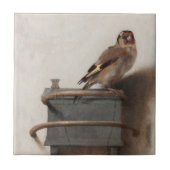 Fabritius De Goudvink Schilderkunst Print Tegeltje (Voorkant)