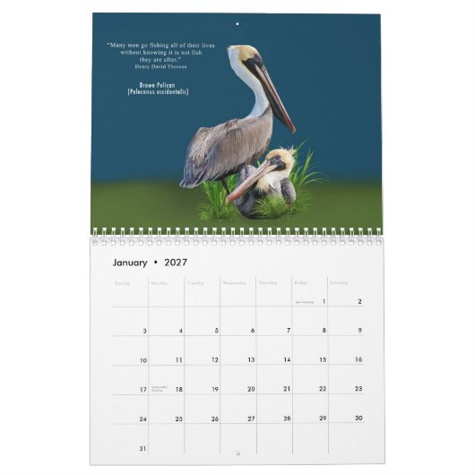 Fabulous Birds 12-maands kalender (Jan 2027)