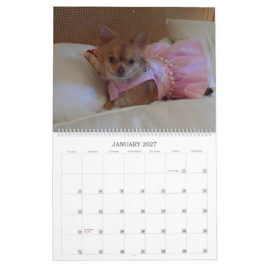 Fabulous chihuahua, kalender 2013 (Jan 2027)