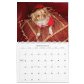 Fabulous chihuahua, kalender 2013 (Mar 2026)