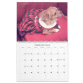 Fabulous chihuahua, kalender 2013 (Feb 2026)