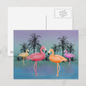 Fabulous Flamingos Briefkaart (Voorkant / Achterkant)