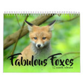 Fabulous Foxes 2025 Kalender (Hoes)