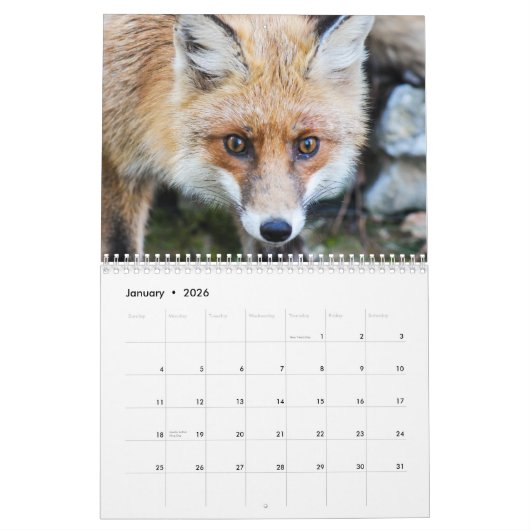 Fabulous Foxes 2025 Kalender (Jan 2026)