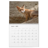 Fabulous Foxes 2025 Kalender (Mar 2027)