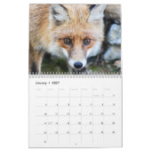 Fabulous Foxes 2025 Kalender (Jan 2027)