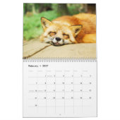 Fabulous Foxes 2025 Kalender (Feb 2027)