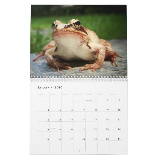 FABULOUS FROGS kalender 2018 (Jan 2026)