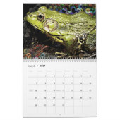 FABULOUS FROGS kalender 2018 (Mar 2027)