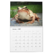 FABULOUS FROGS kalender 2018 (Jan 2027)