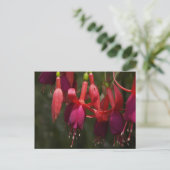 Fabulous Fuscia Briefkaart (Staand voorkant)