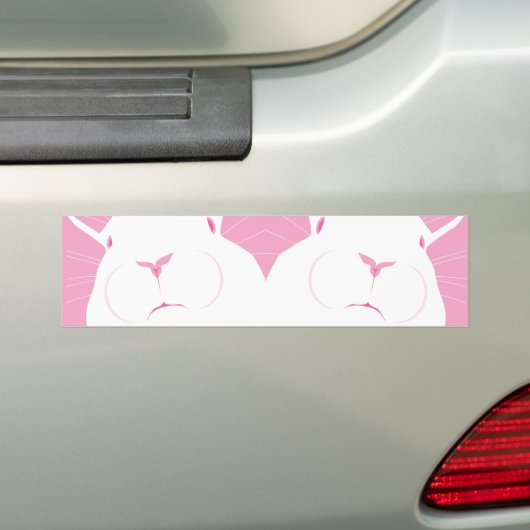 FACE 2 BUMPERSTICKER (Op auto)