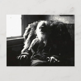 "Face Altijd naar de zon" Mickle Street Camden Briefkaart